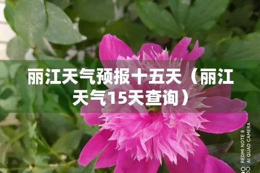 丽江一周天气预报（丽江一周天气预报15天查询结果）