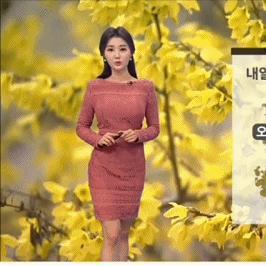北京30天天气预报（北京30天天气预报）