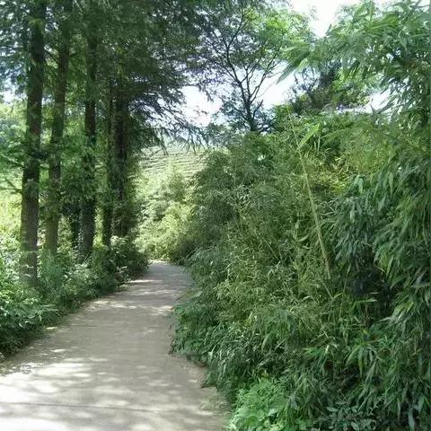 北仑天气（4月29日北仑天气）