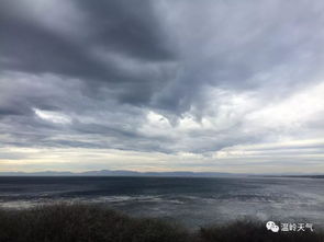 上海浦东天气预报（上海浦东天气预报实时天气）