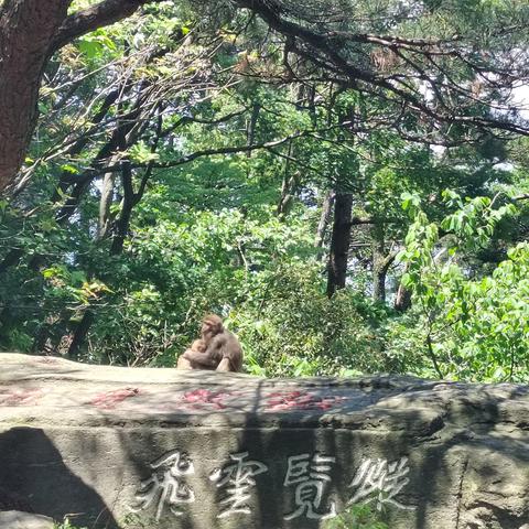 天气预报武汉（天气预报南昌）