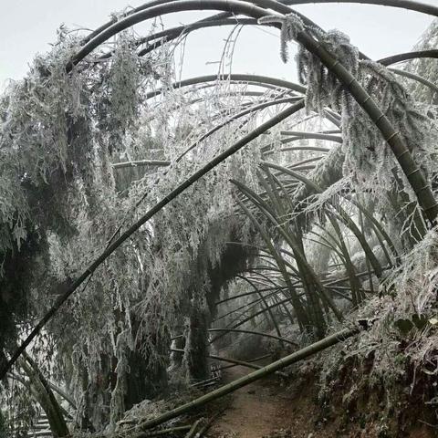 湖南大雪暴雪范围已定（湖南哪里有大雪）