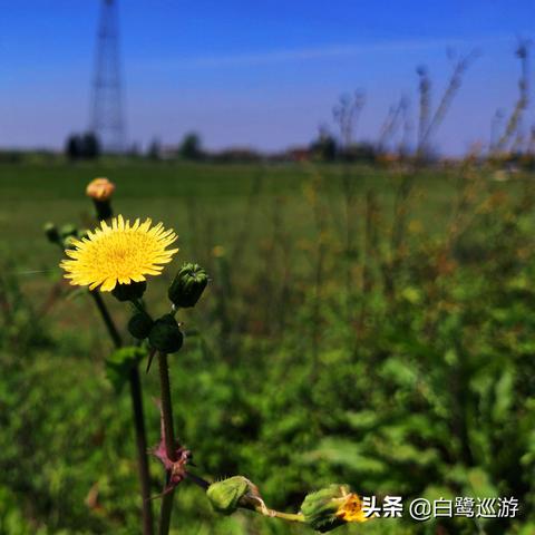 抚州天气预报查询一周（抚州天气预报查询一周7天）