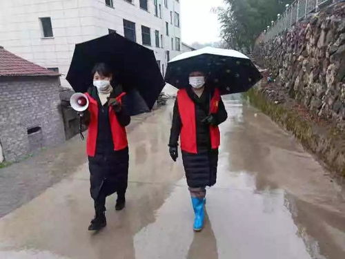 疫情（疫情动态）