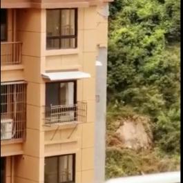 温州台风网最新消息路径（温州台风网台风实时路径图最新）