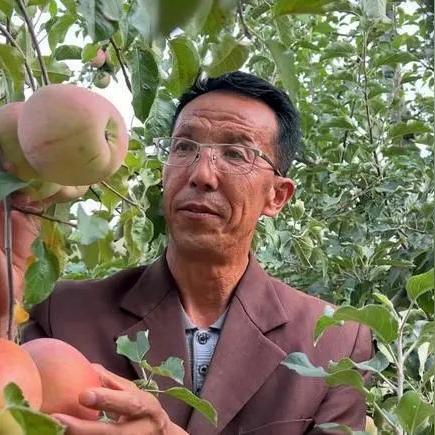 榆林天气预报(榆林天气预报15天天气查询最新) 榆林天气预报(榆林天气预报15天天气查询最新)