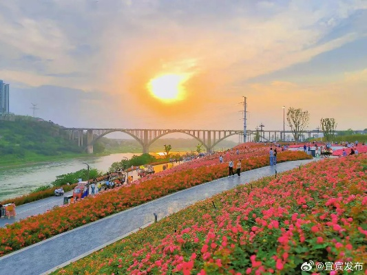 宜宾天气（宜宾天气预报15天查询准确度）