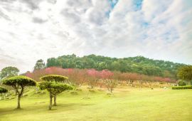 石门天气预报（桃源天气预报）