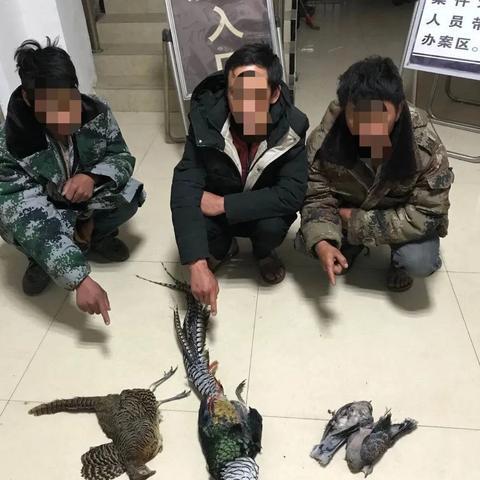 宣威天气预报（威宁天气预报）