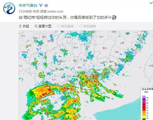 未来10天台风胚胎最新消息（未来10天台风预测）